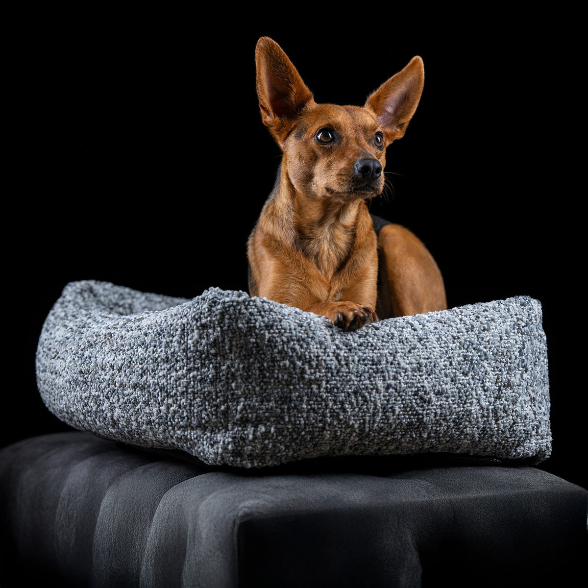 panier pour chien confortable gris - kasibe
