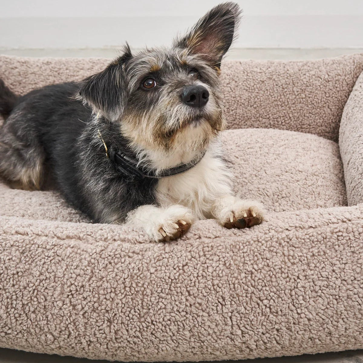housse de panier pour chien senso greige miacara - kasibe