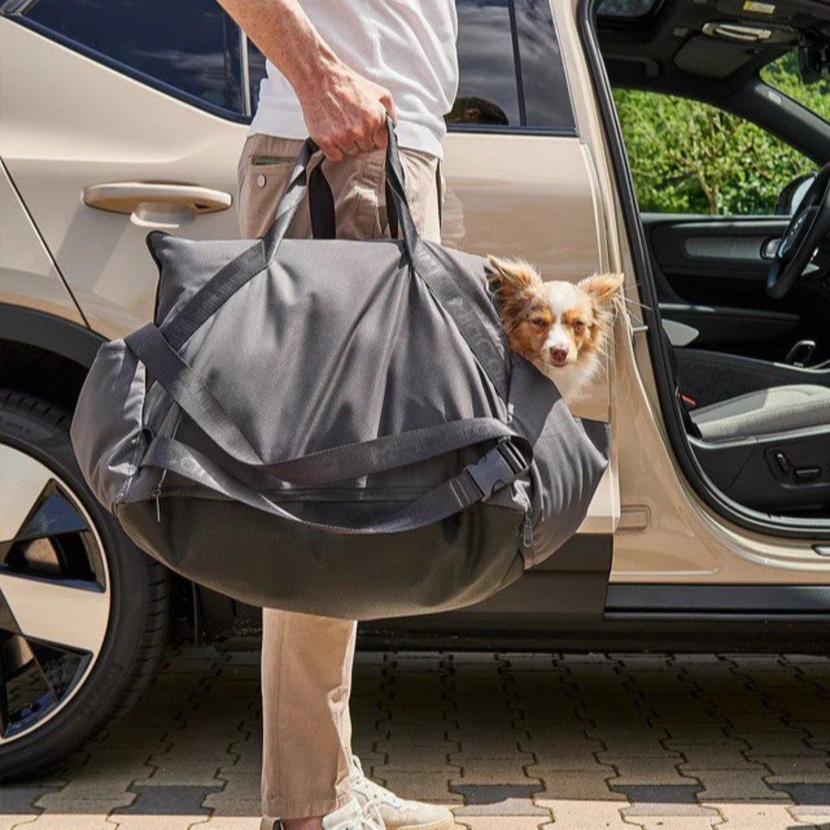 Panier pour chien de voiture - VIAGGIO - Kasibe