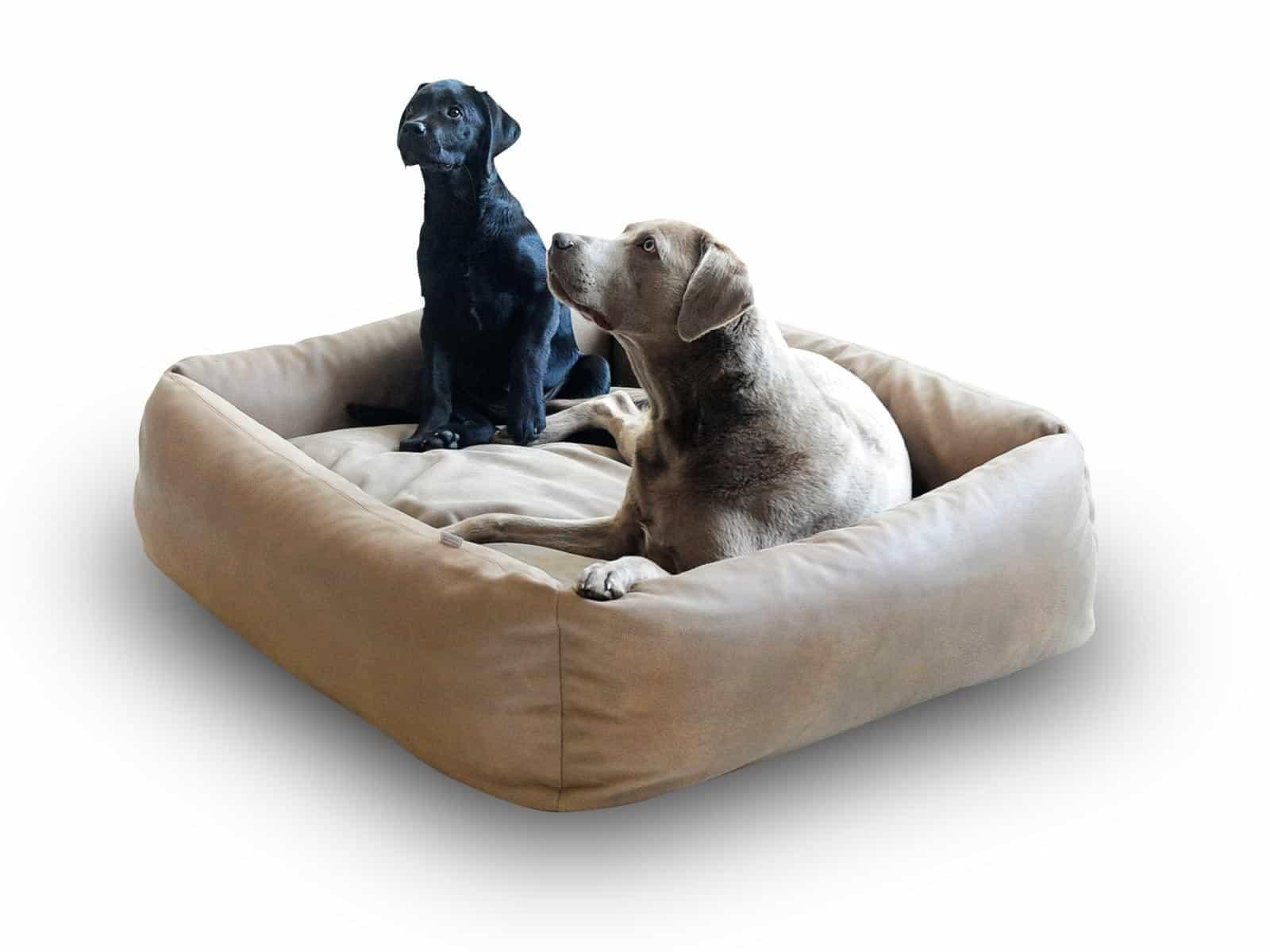Panier pour chien en cuir - BOOX - Kasibe
