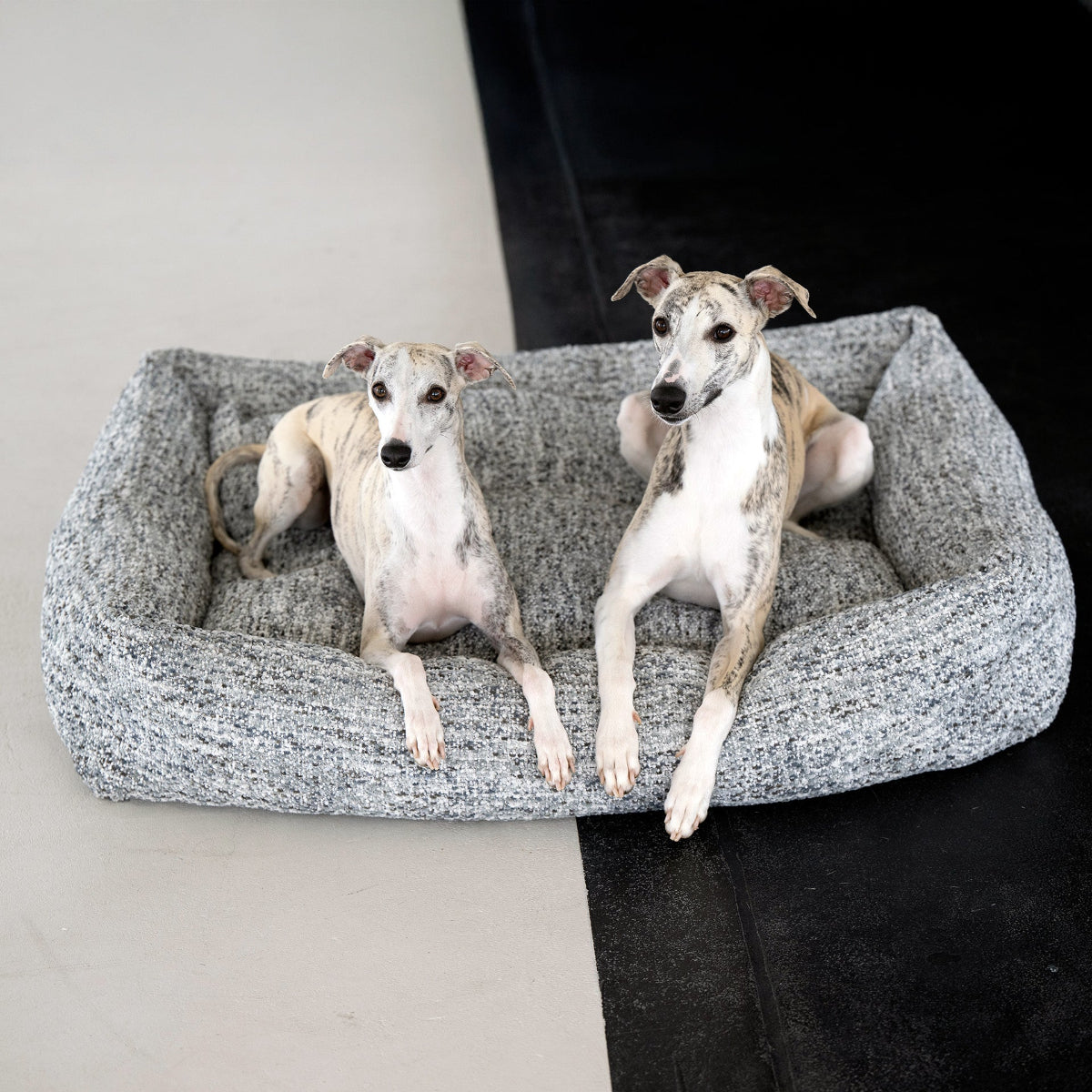 panier pour chien confortable gris - kasibe