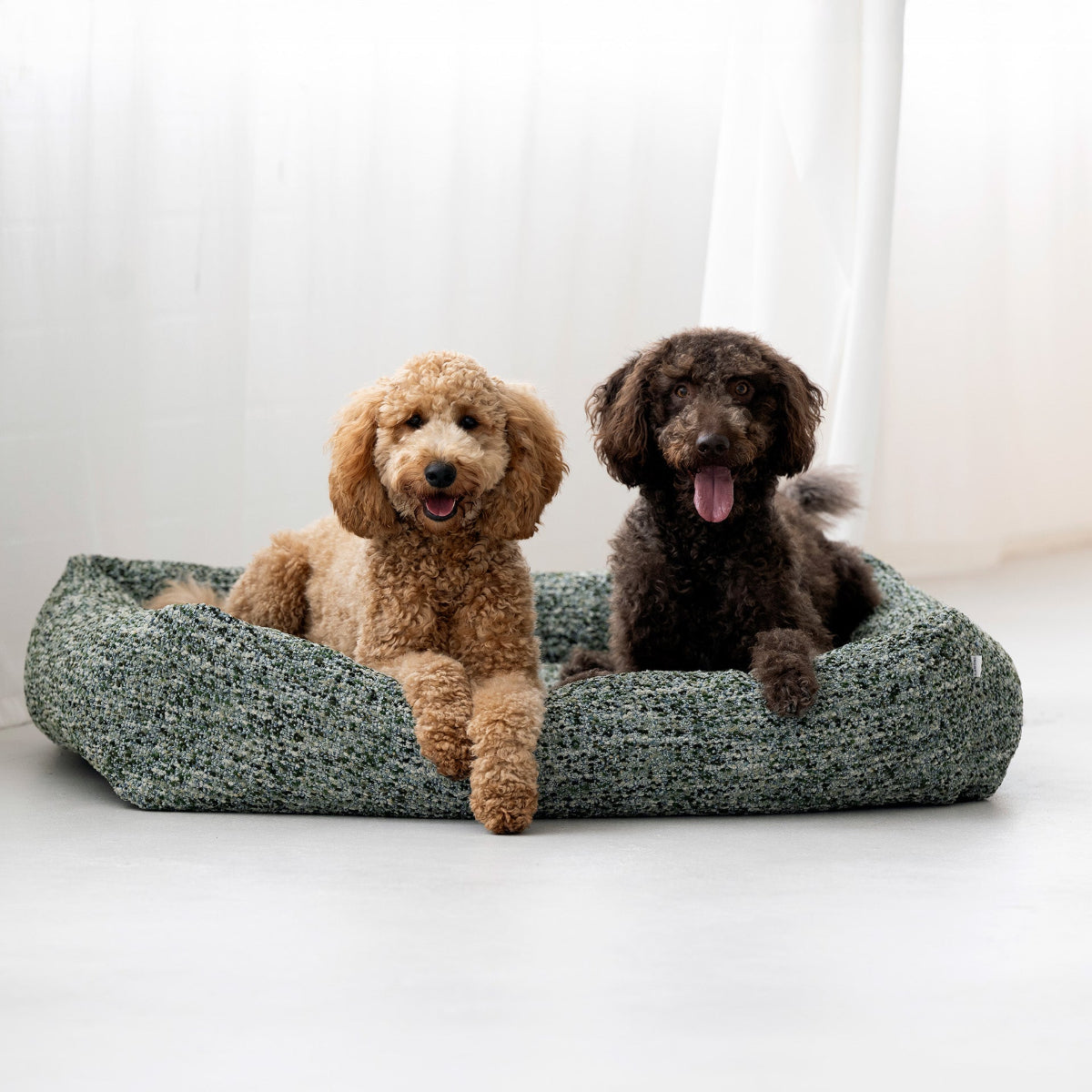 panier pour chien confortable vert - kasibe