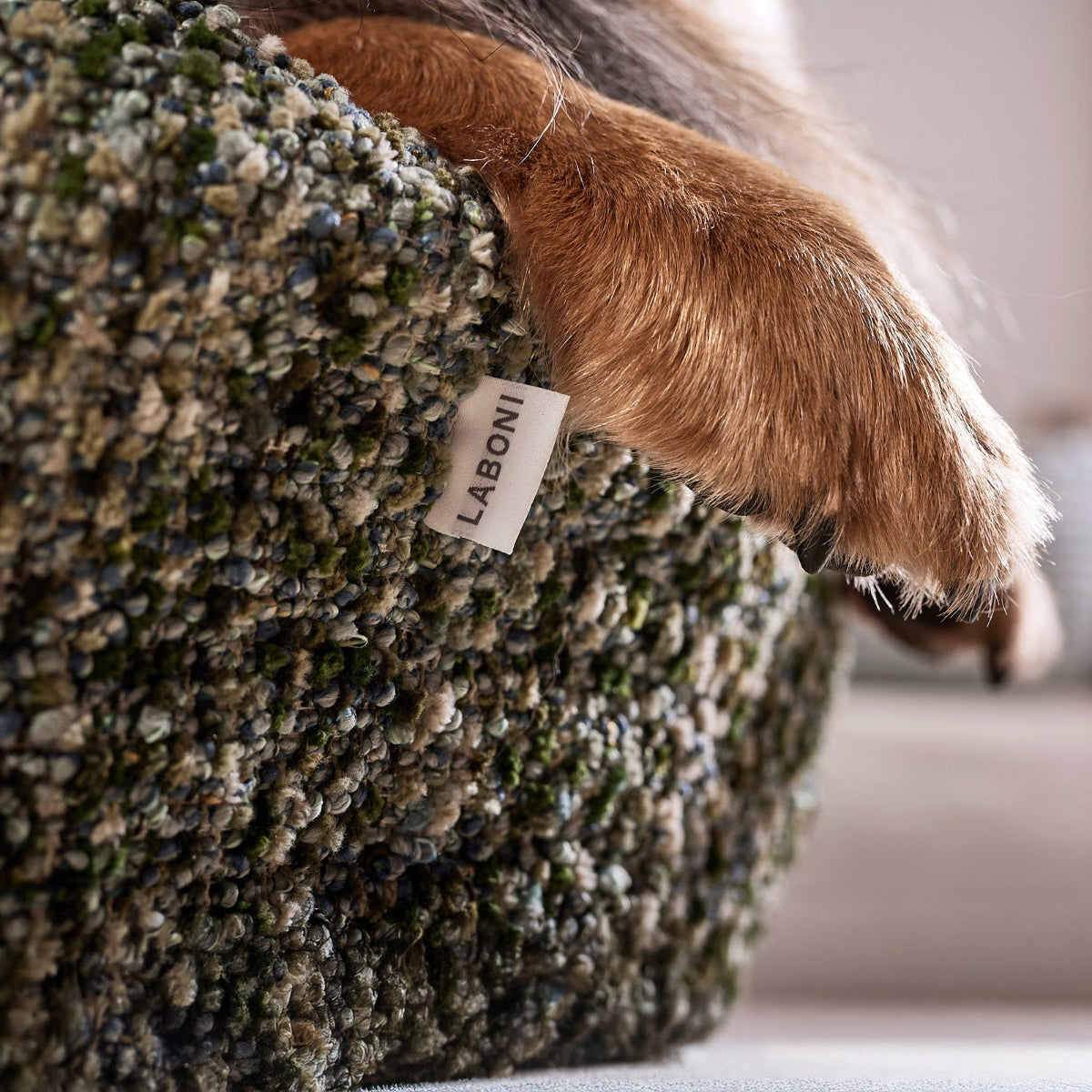 panier pour chien confortable vert - kasibe