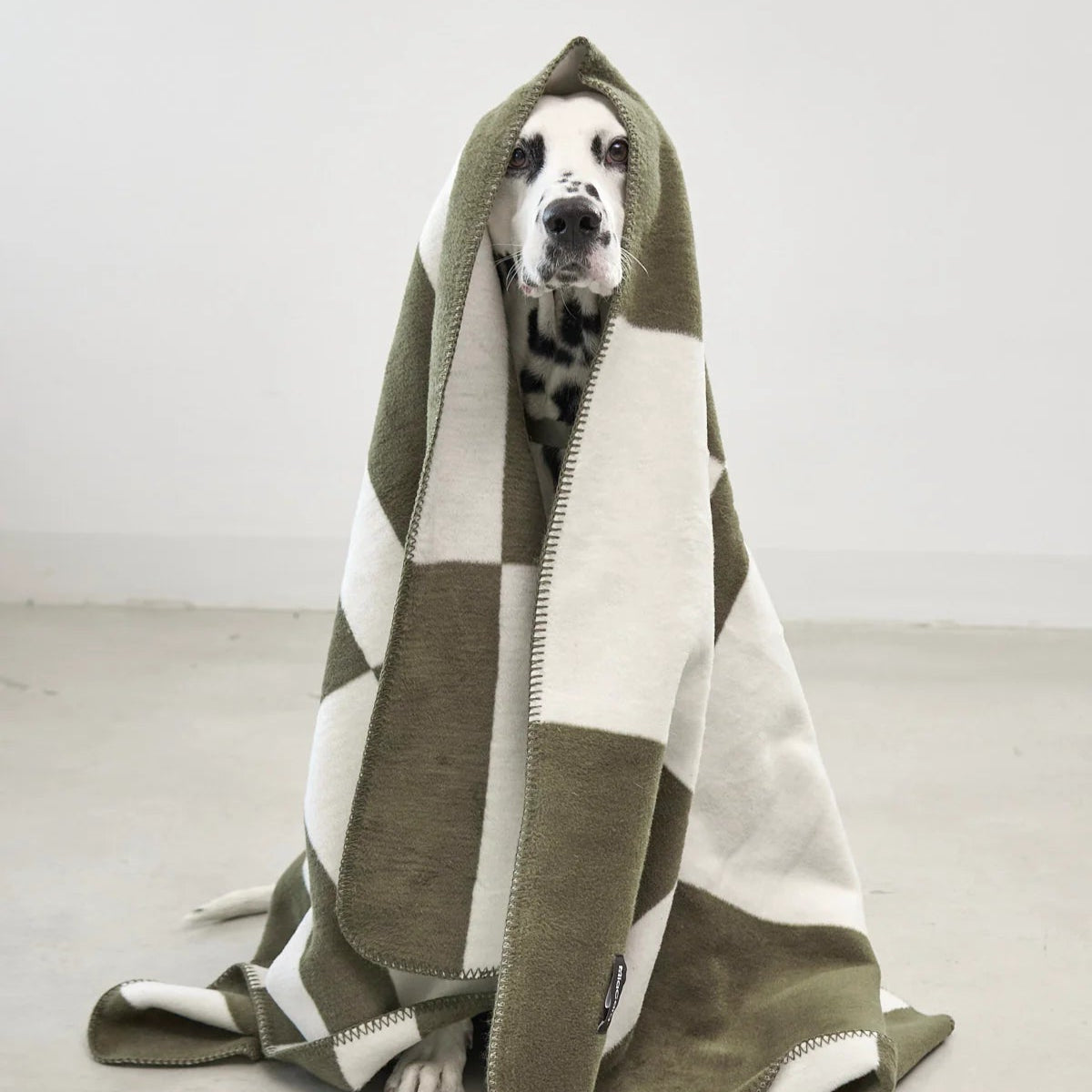 Plaid pour chien graphique - kasibe