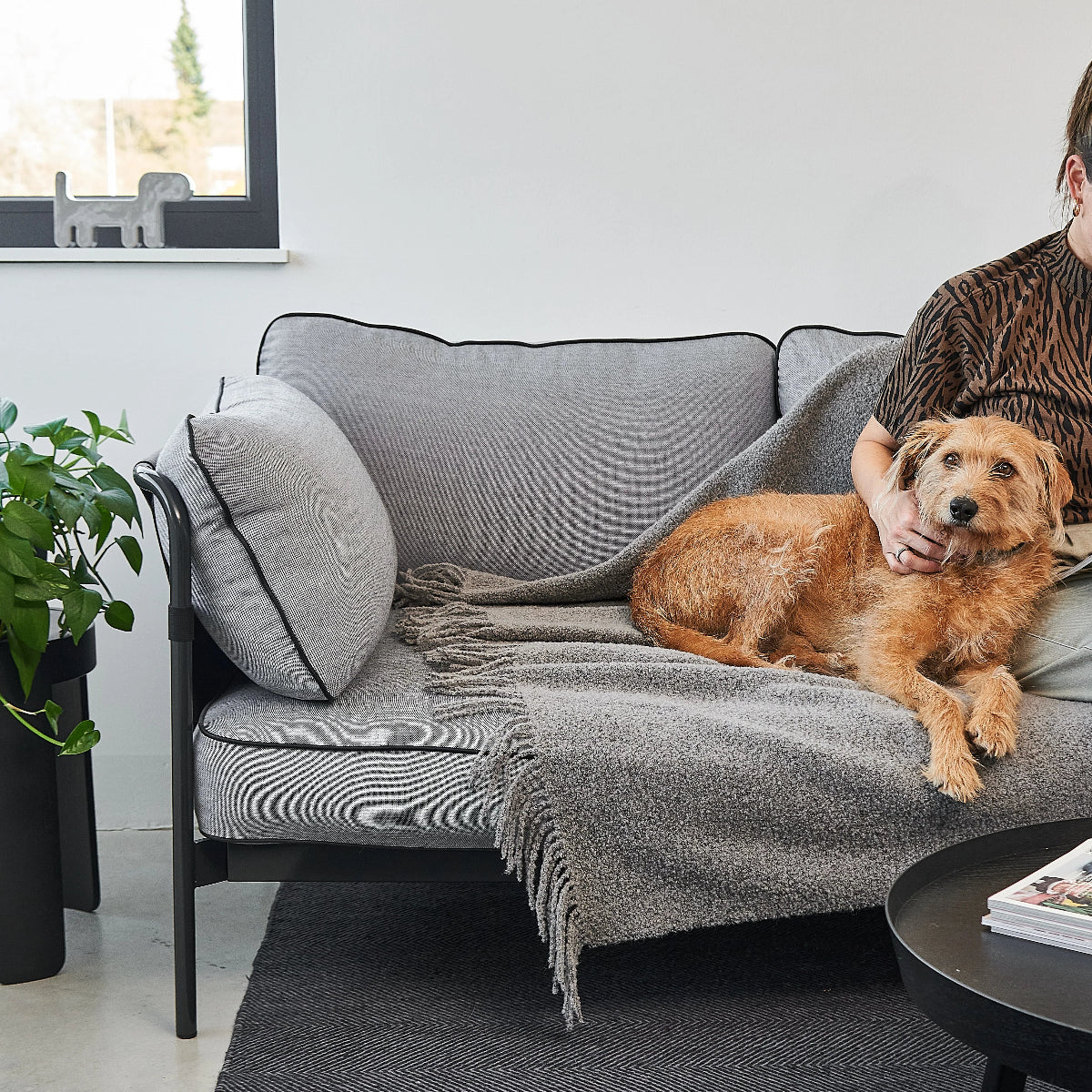 plaid pour chien grande taille gris - kasibe