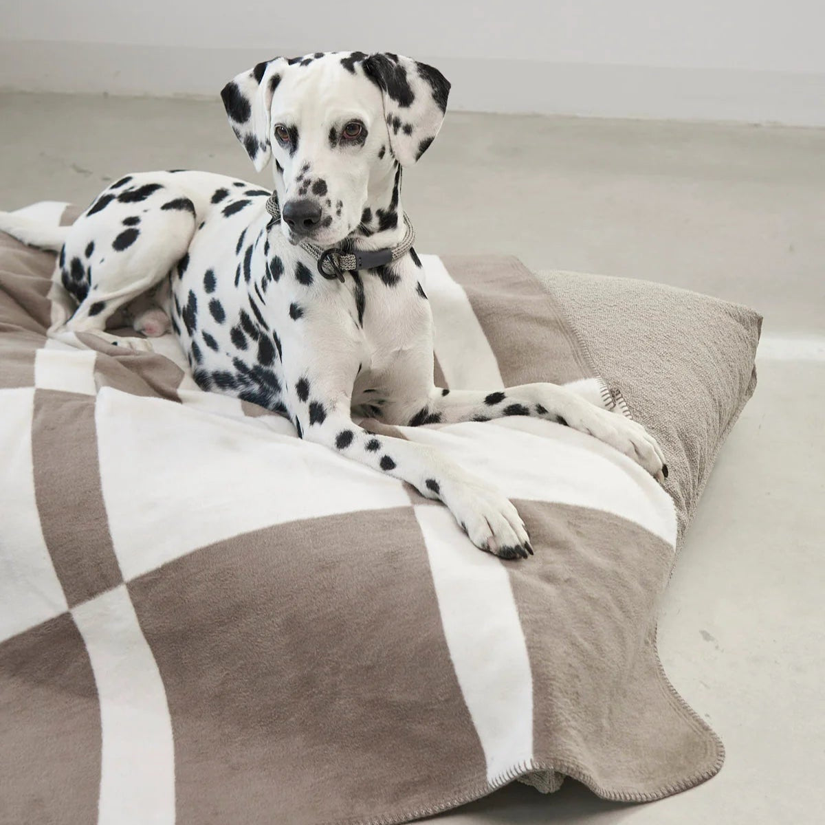 Plaid pour chien graphique - kasibe