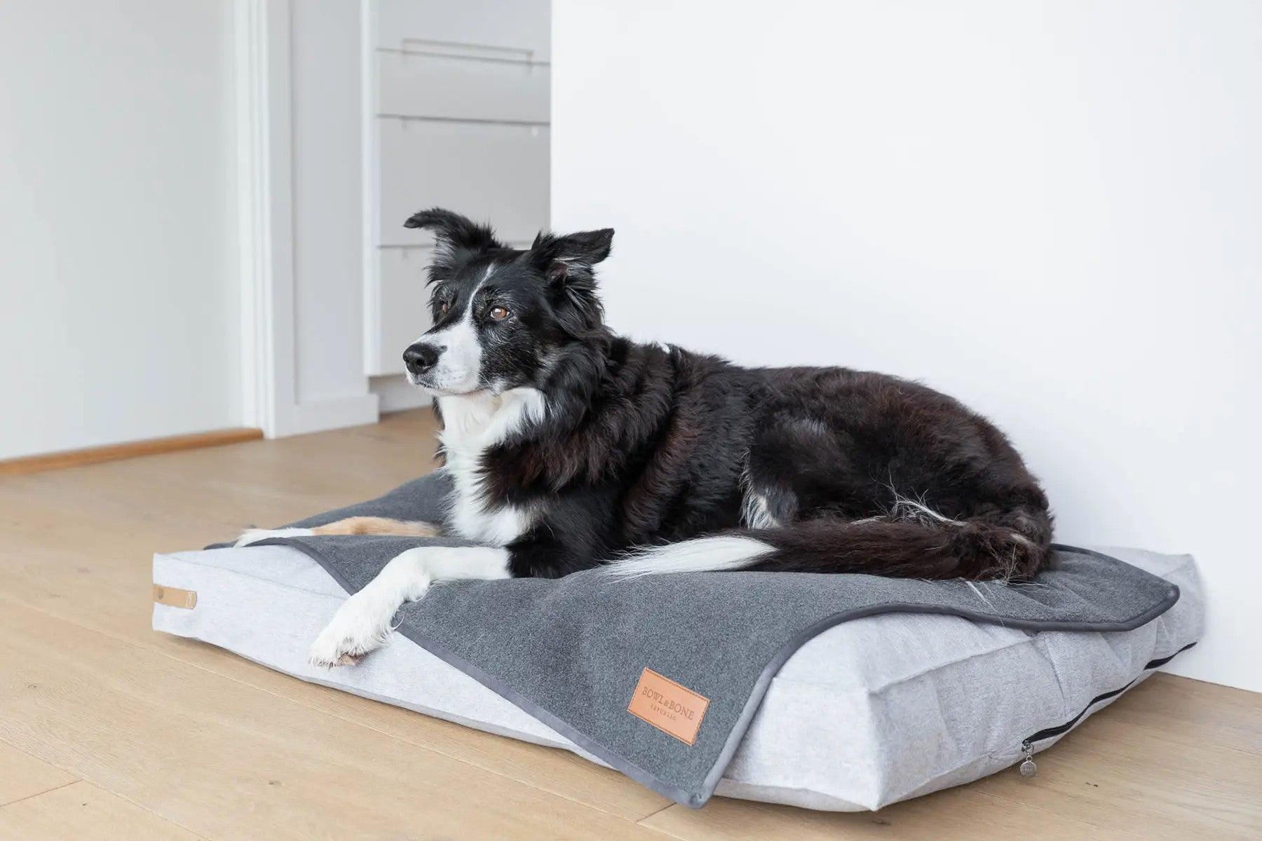 Plaid pour chien en feutre - ZEN - Kasibe
