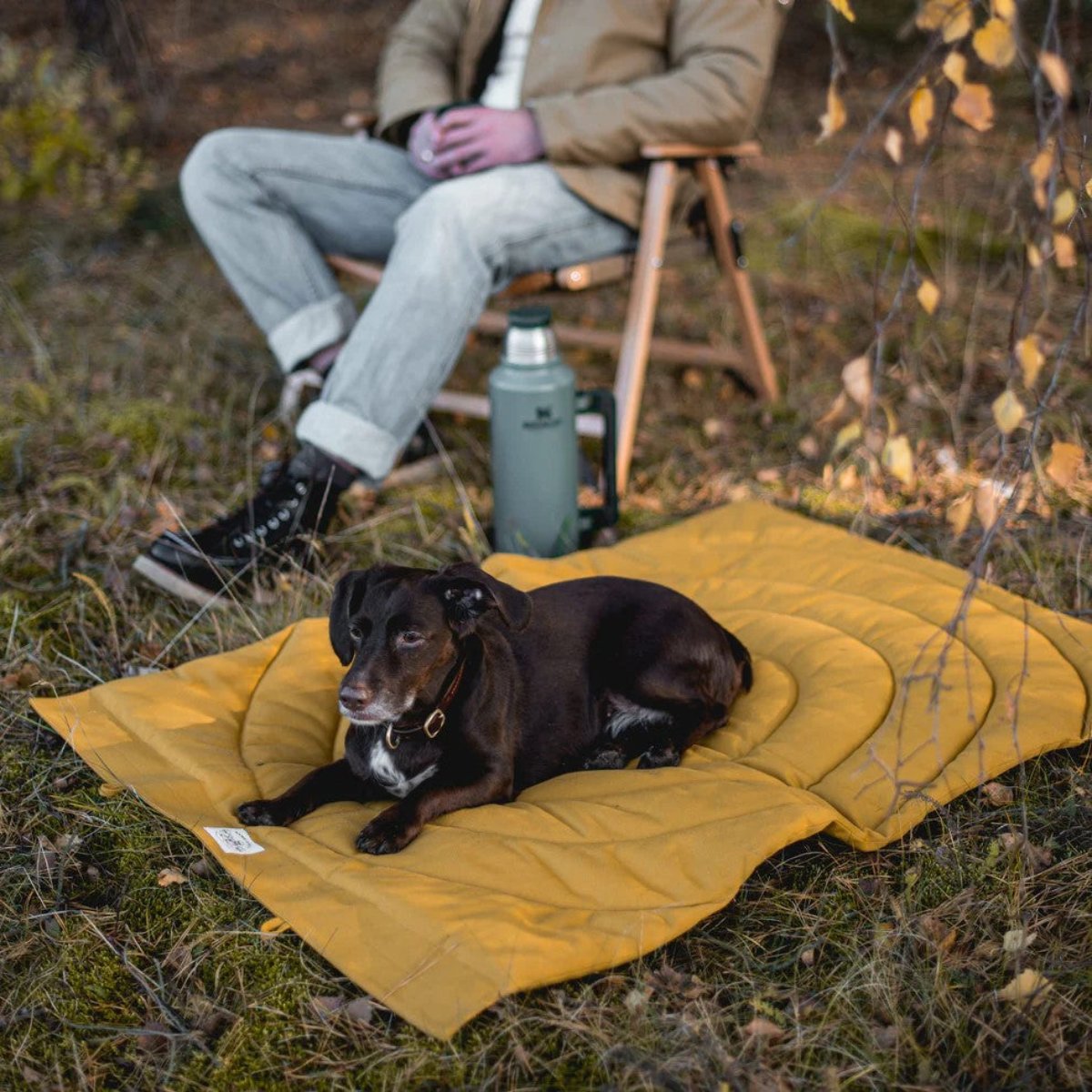 plaid de voyage pour chien jaune - kasibe