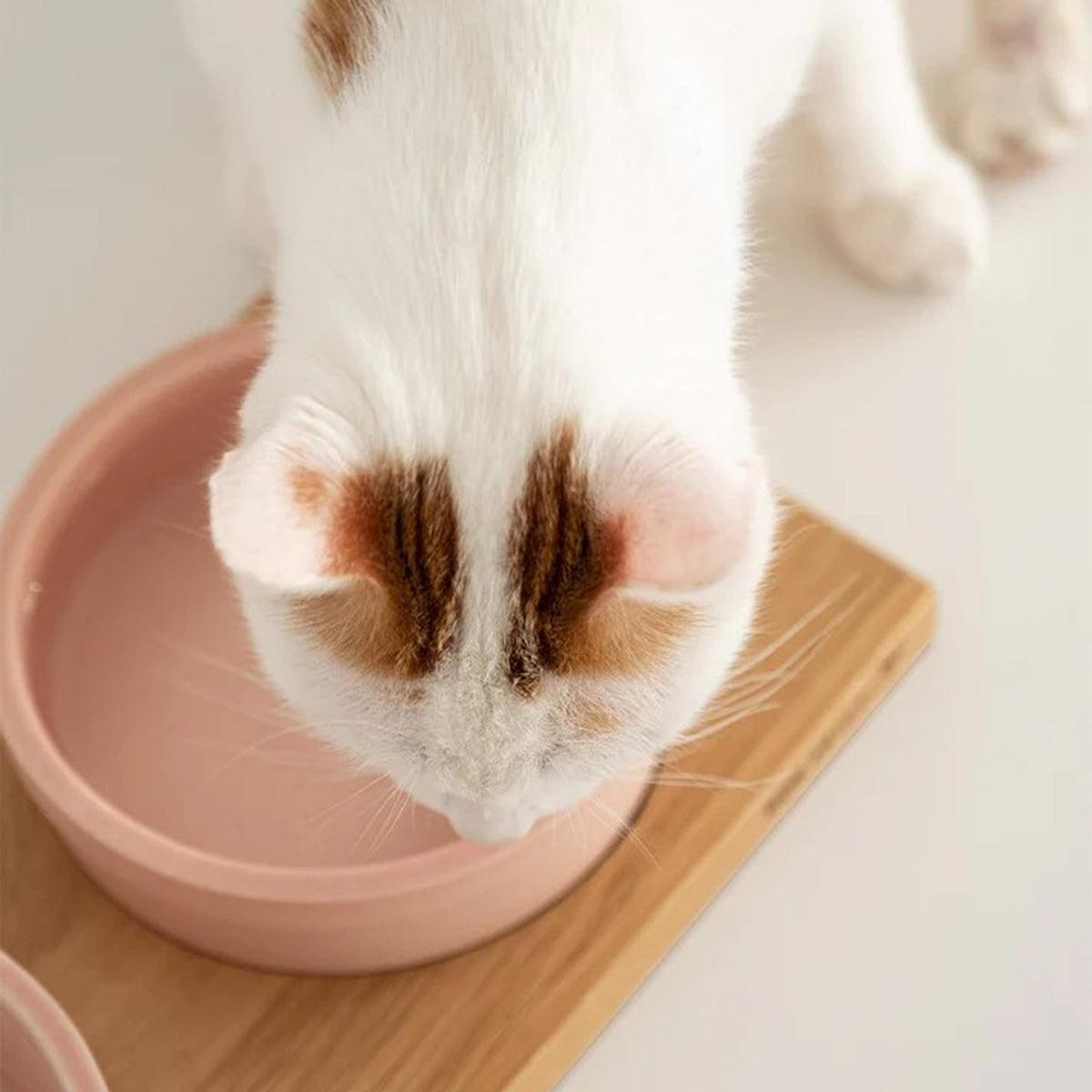 Porte gamelle pour chat - TECCA T - Kasibe