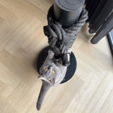 Totem : un poteau griffoir pour chat très design - kasibe