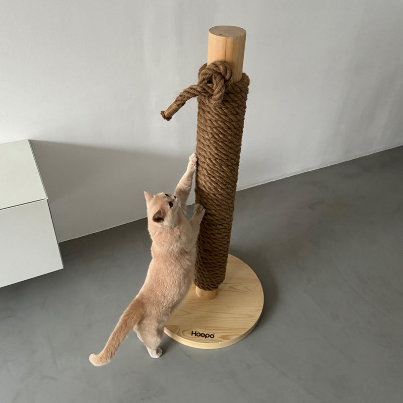 Totem : un poteau griffoir pour chat très design naturel - kasibe