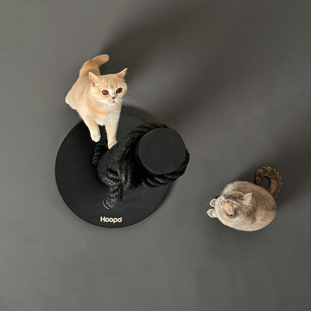 Totem : un poteau griffoir pour chat très design noir - kasibe