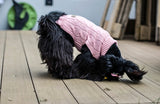 Un pull en laine pour chien pour affronter le froid : Aspen - kasibe
