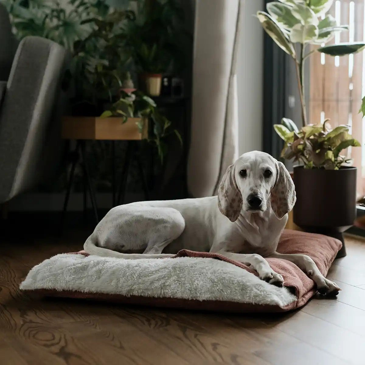 sac de couchage pour chien ROSE - kasibe