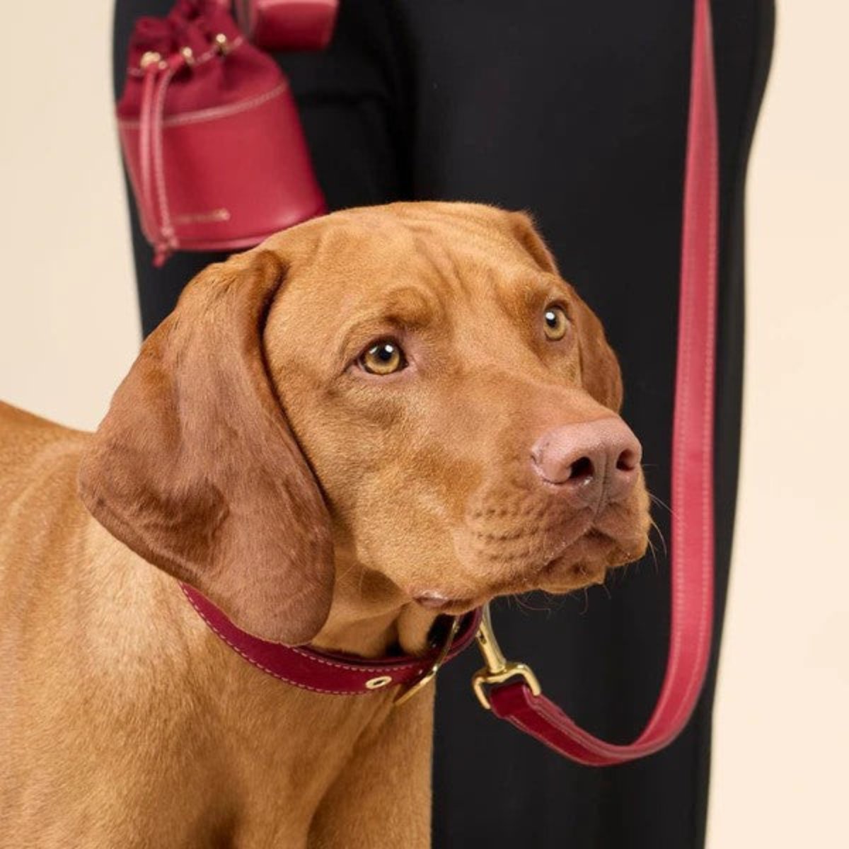 sac à friandises pour chien en cuir et daim rouge - kasibe