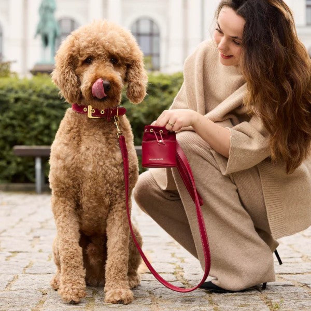 sac à friandises pour chien en cuir et daim rouge - kasibe