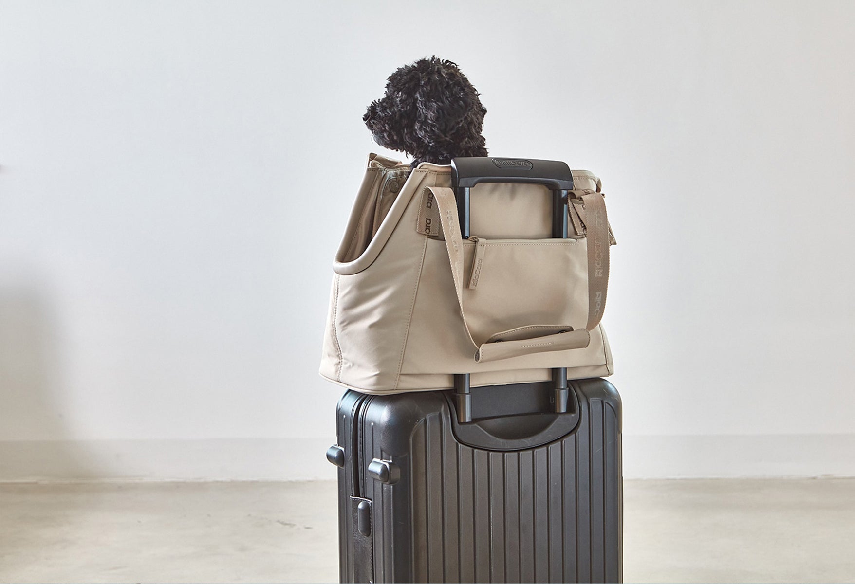 sac de transport pour chien - kasibe