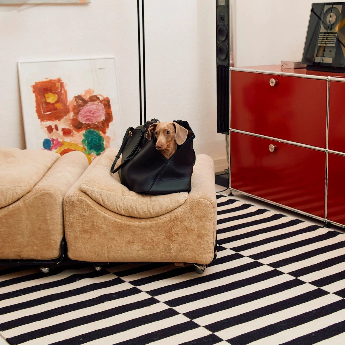 sac de transport pour chien en cuir luxe - kasibe