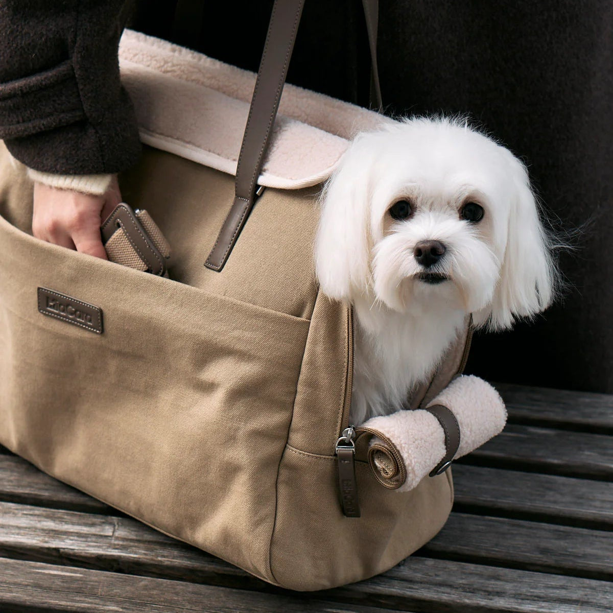 sac de transport design pour chien - kasibe