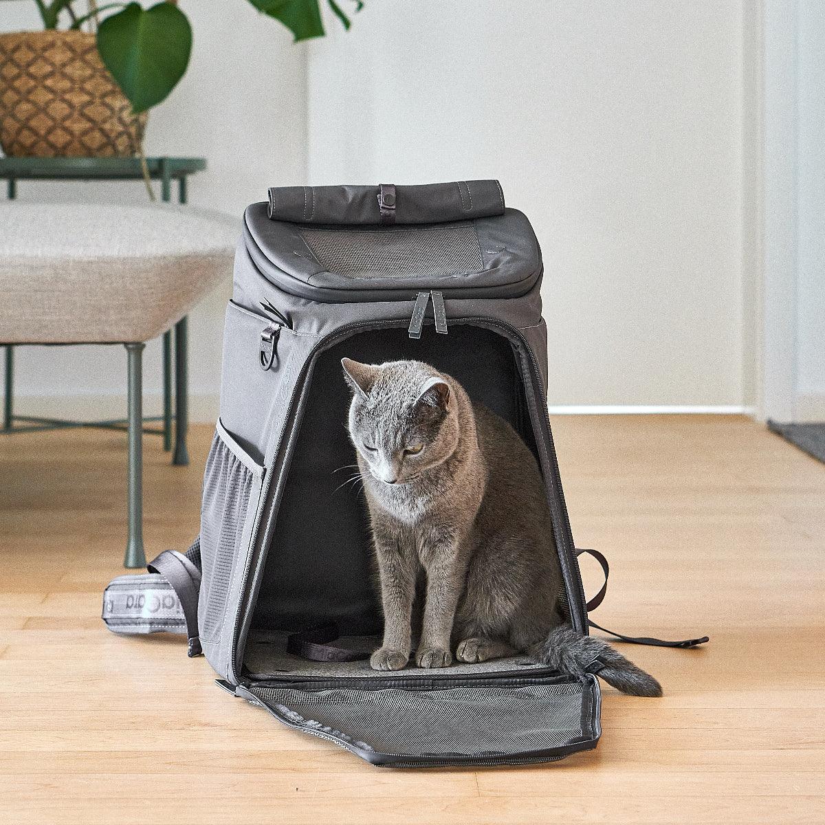 sac de transport pour chat gris - kasibe
