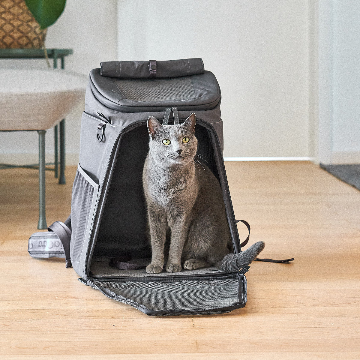 sac de transport pour chat gris - kasibe