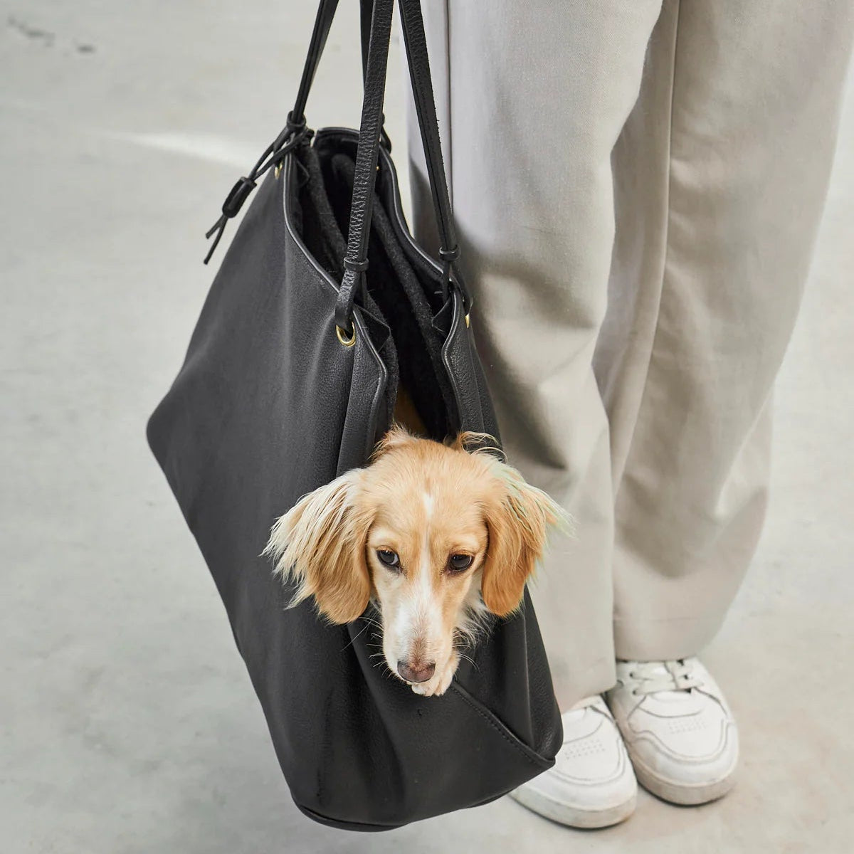 sac de transport pour chien en cuir luxe - kasibe