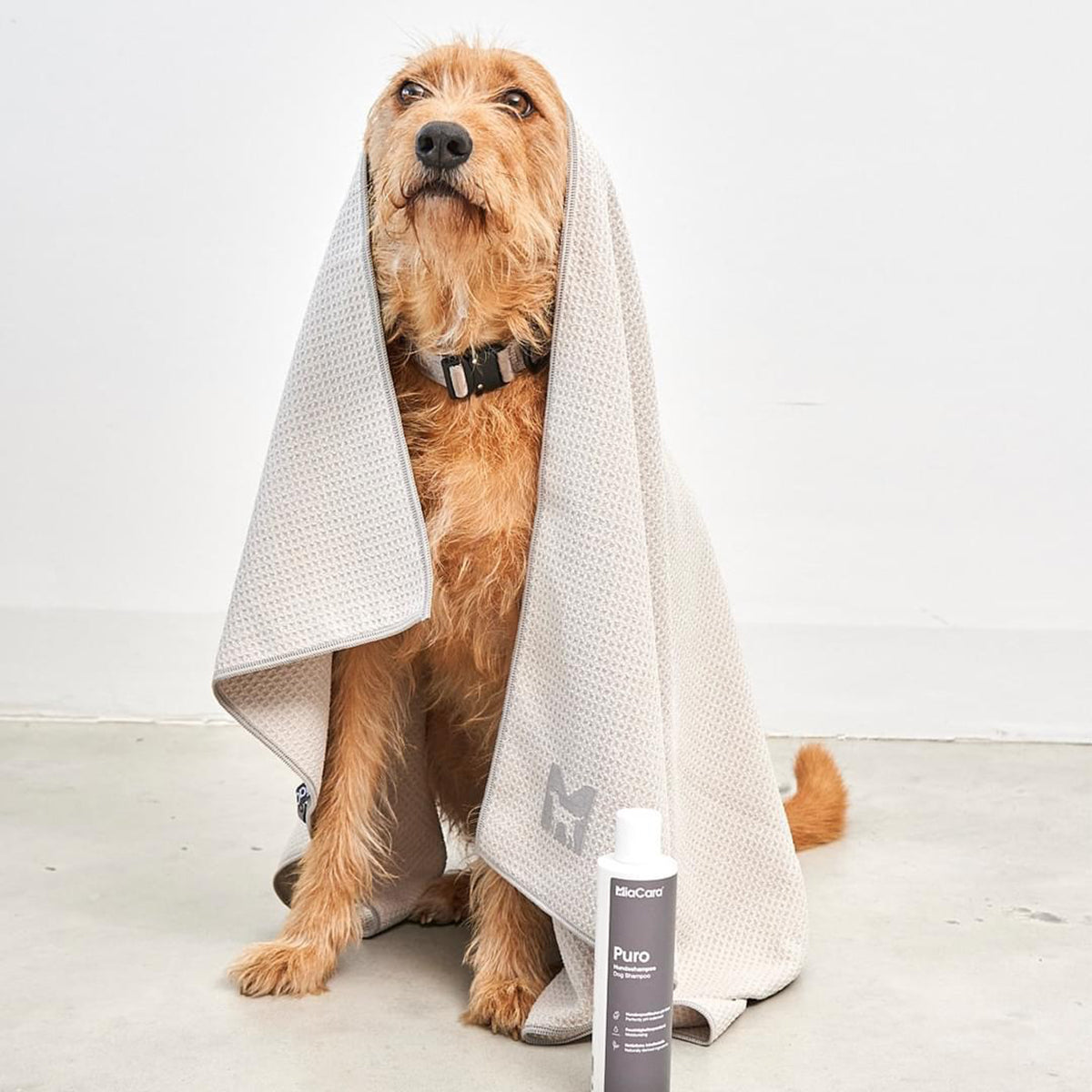 Serviette de séchage pour chien - PANNO