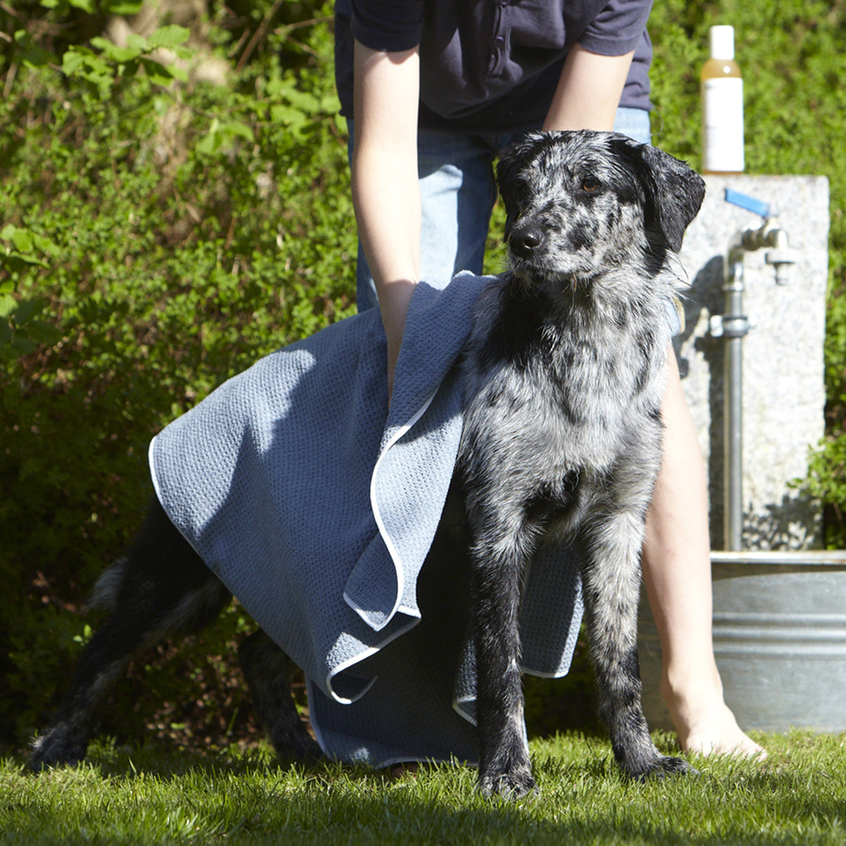 Serviette de séchage pour chien - PANNO