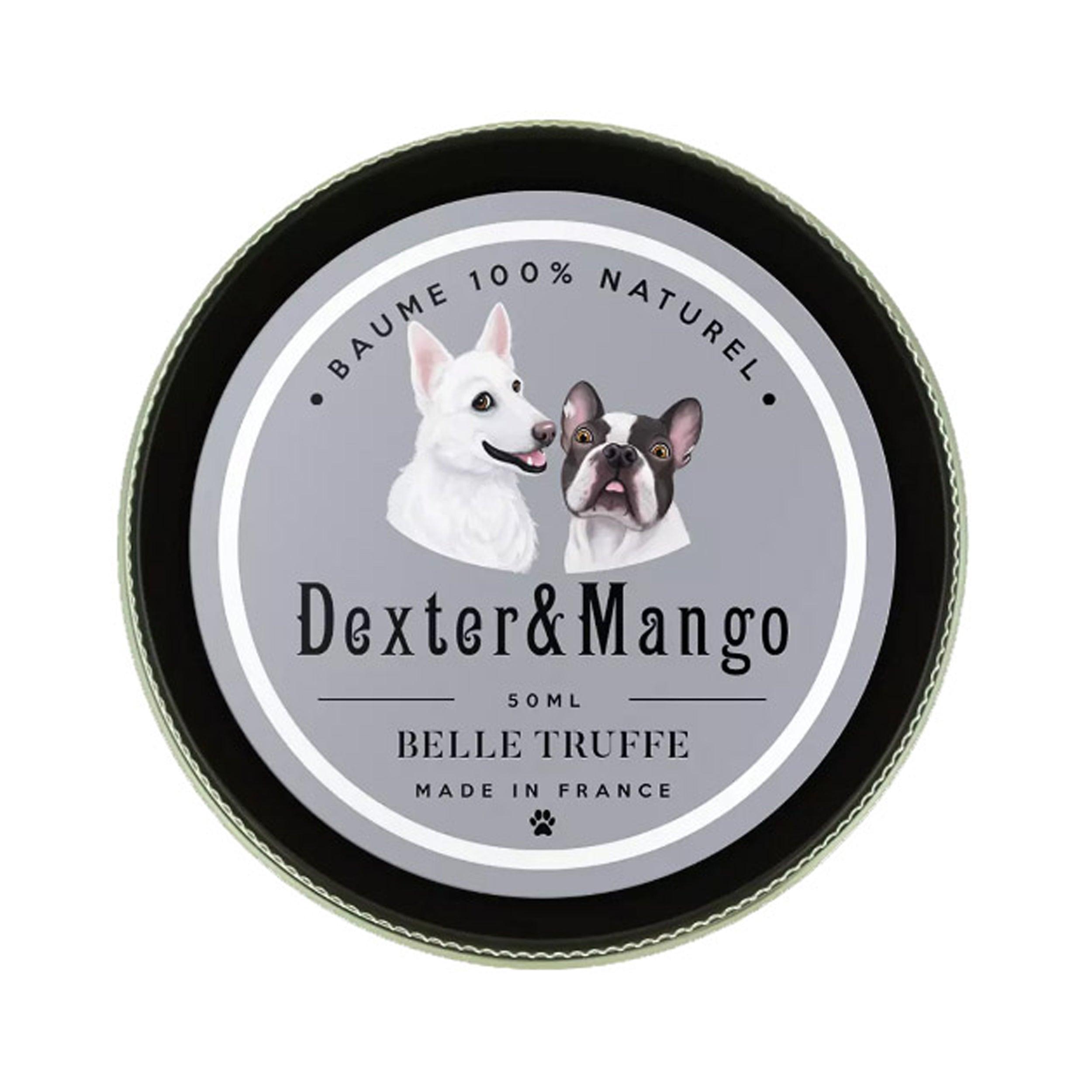 Soins du coussinet du chien, de sa peau et de sa truffe - Kasibe