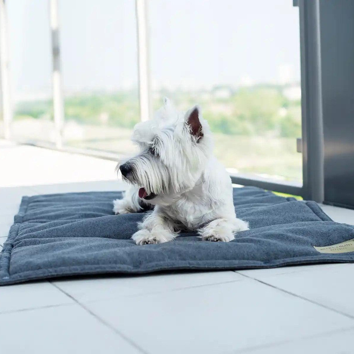 Tapis pour chien à utiliser en transport ou en protection : Loft - kasibe