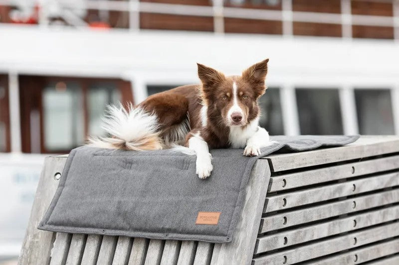 Tapis pour chien à utiliser en transport ou en protection : Loft - kasibe