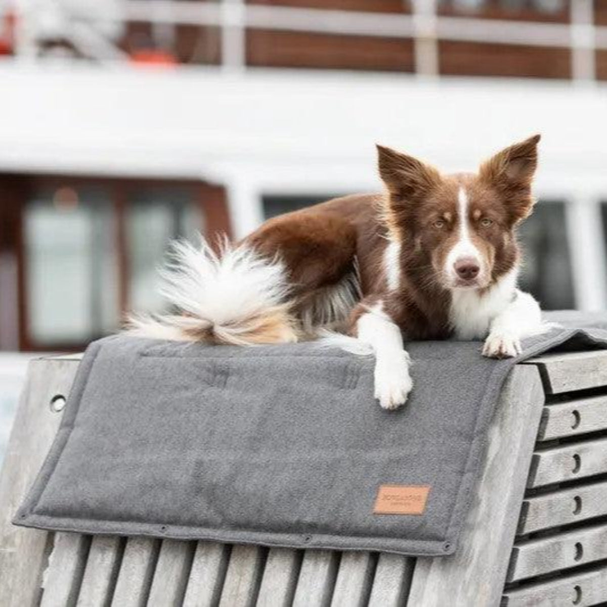 Tapis pour chien à utiliser en transport ou en protection : Loft - kasibe