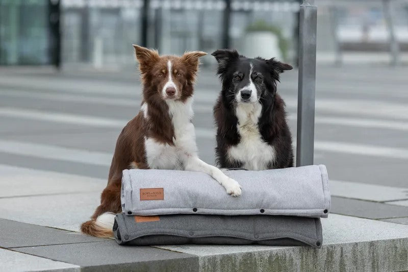Tapis pour chien à utiliser en transport ou en protection : Loft ouvert - kasibe