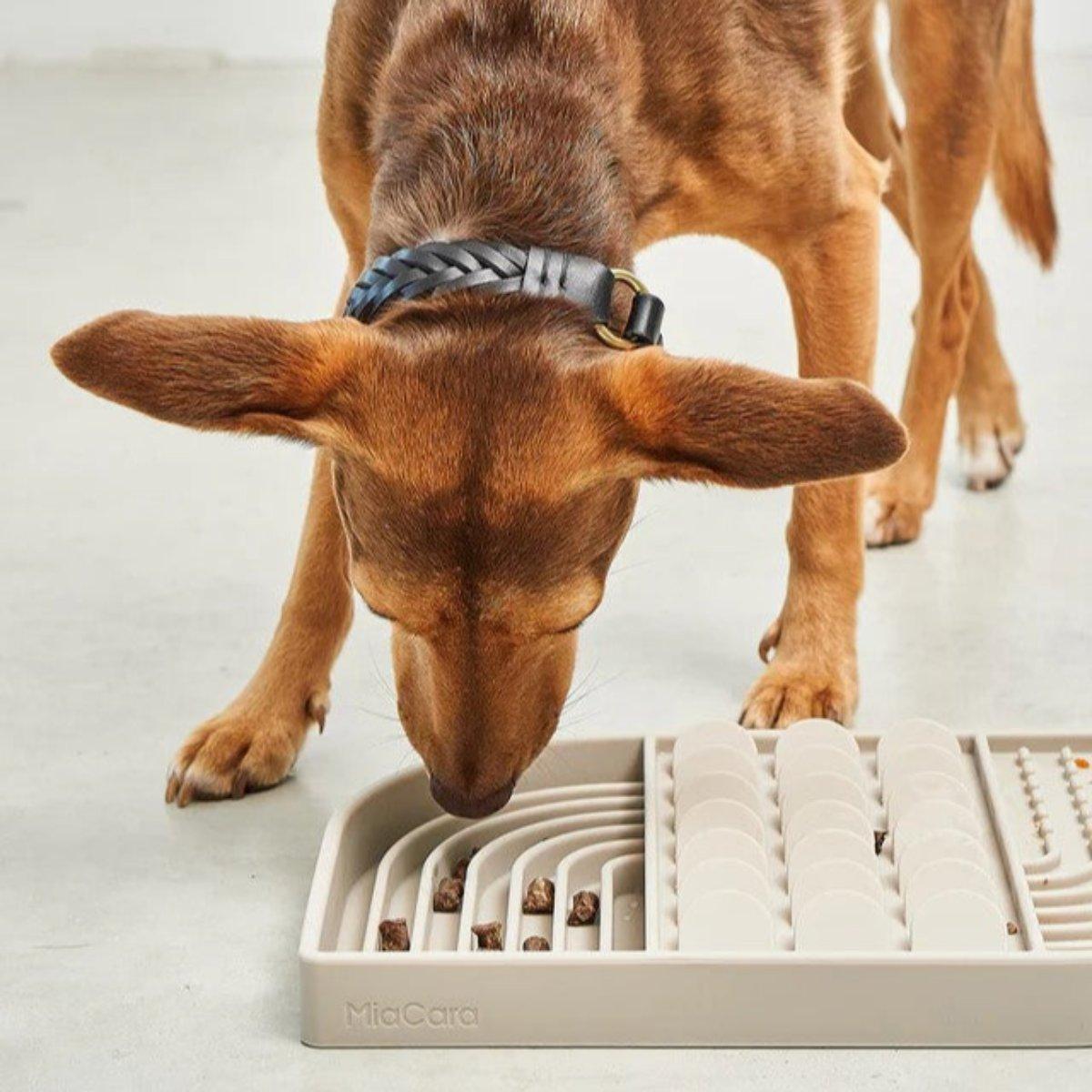 Tapis de léchage pour chat et chien - APERITIVO - Kasibe