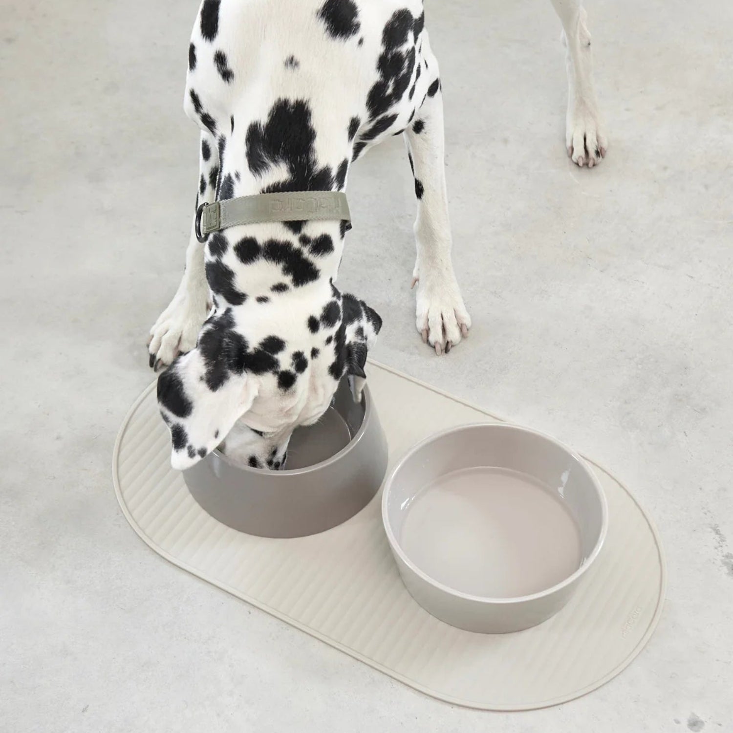 tapis de gamelle design pour chien beige - kasibe