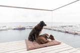 Classic : un tapis de transport pour chien très confort marron - kasibe