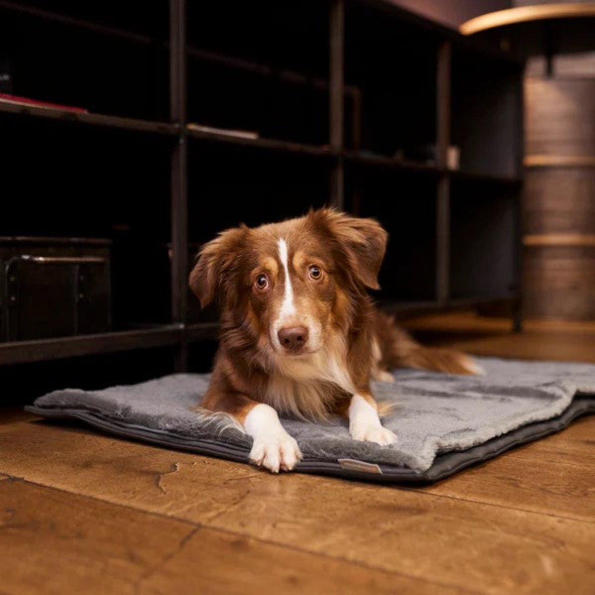 tapis de voyage de luxe pour chien en simli cuir et fausse fourrure - kasibe