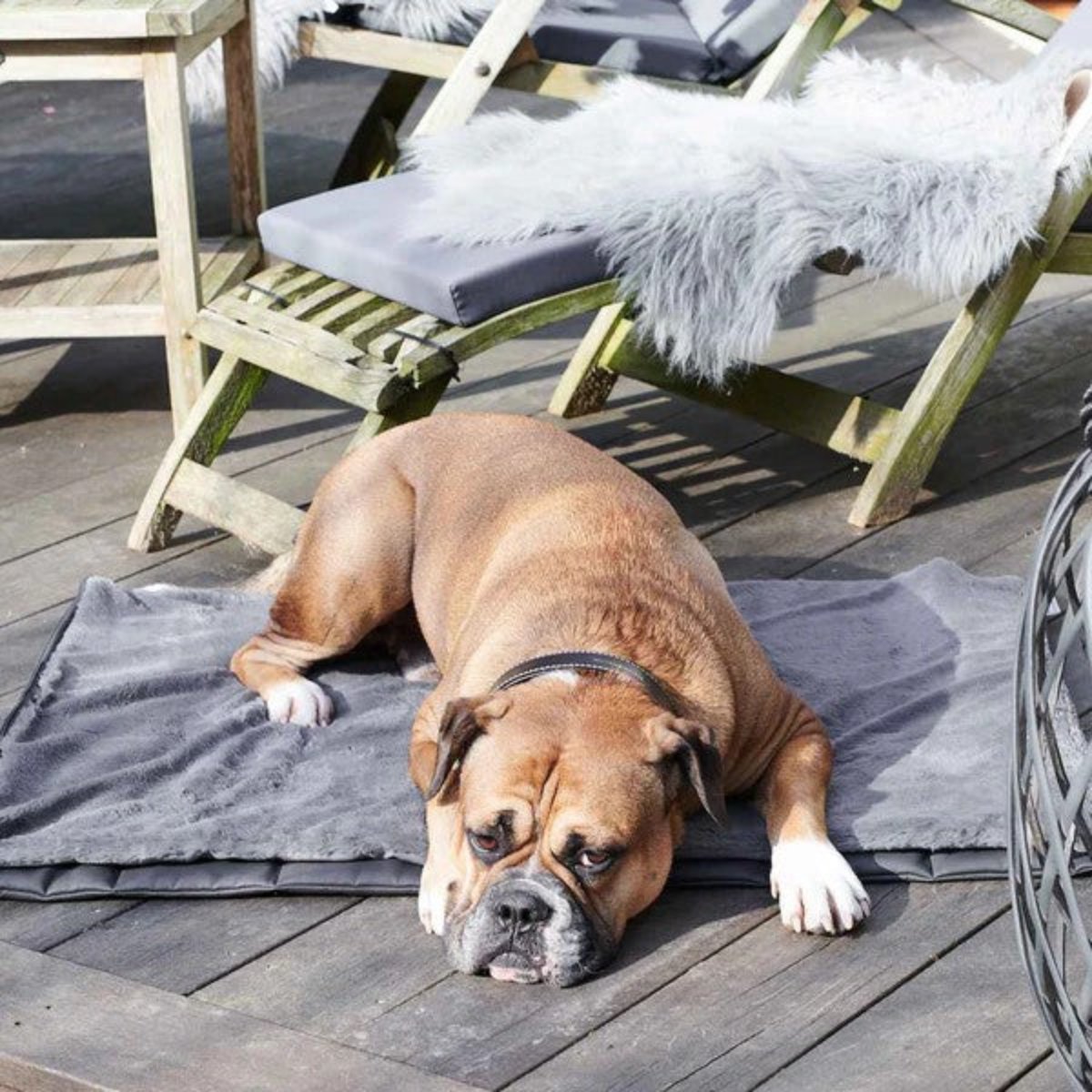 tapis de voyage de luxe pour chien en simli cuir et fausse fourrure - kasibe