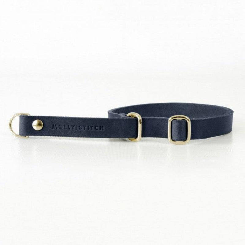 kasibe collier pour chien confortable et pratique ajustable à la demande Butter Retriever bleu boucle or molly and stitch