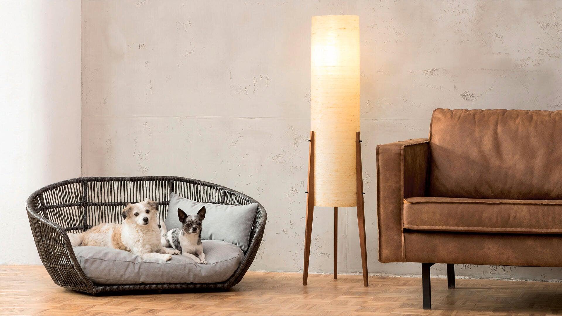 Luna : un sofa design pour chien - Finition Smooth - Kasibe