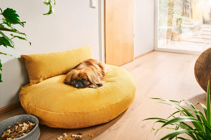 Luna en finition Tudor : un magnifique canapé pour chien - Kasibe