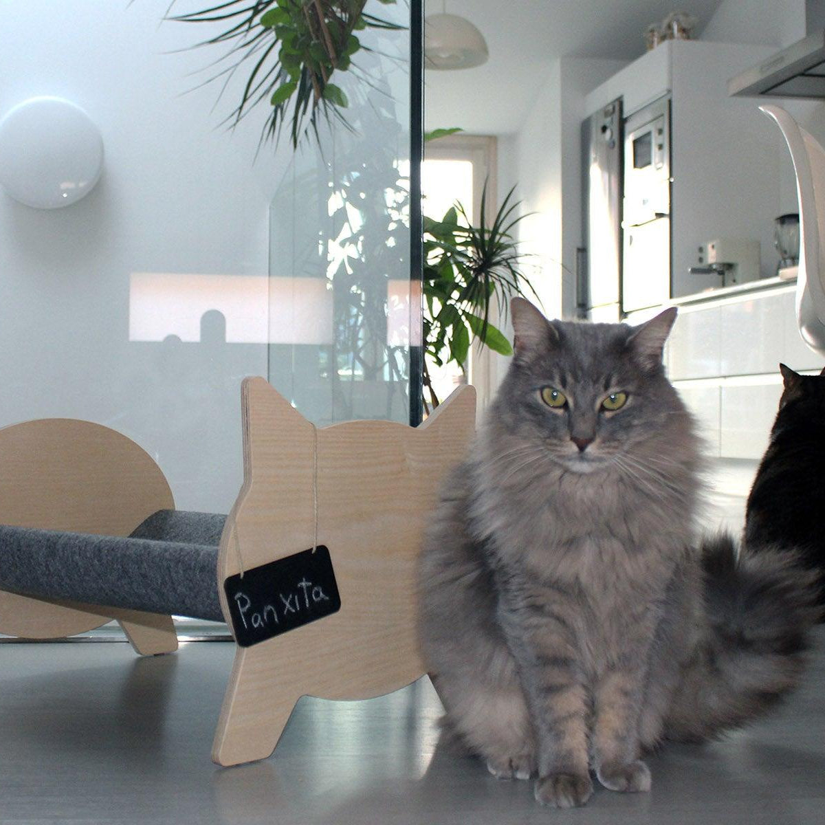 Canapé pour chat - CATNAP - Kasibe