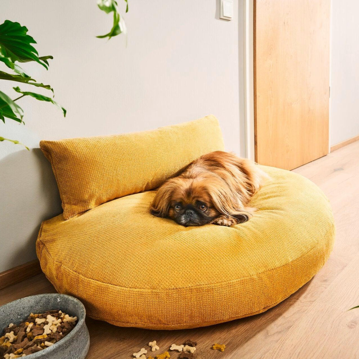 Canapé pour chien - LUNA TUDOR - Kasibe