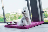 kasibe chien allongé sur coussin epais pour chien chill rose bowl and bone