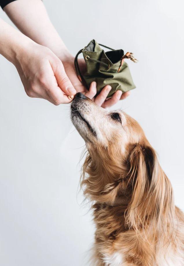 York, un sac à friandises pour chien en toile cirée - kasibe