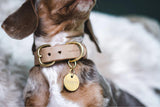 Collier artisanal en cuir pour chien Fir avec médaille en laiton  - kasibe