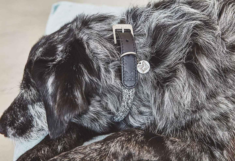Collier pour chien original en coton tressé ciré Lucca kasibe 