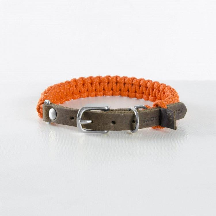Collier en corde et cuir pour chien Touch of Leather orange boucle argent - kasibe