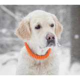 Collier en corde et cuir pour chien Touch of Leather - kasibe
