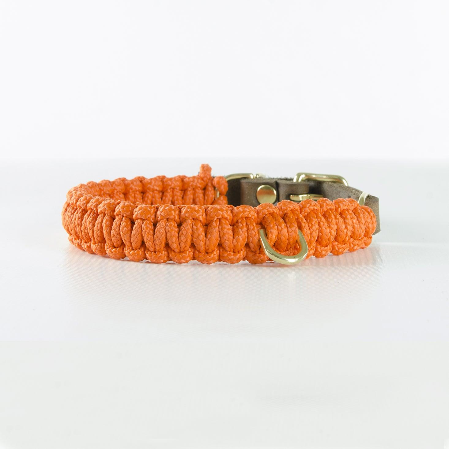Collier en corde et cuir pour chien Touch of Leather orange boucle or - kasibe